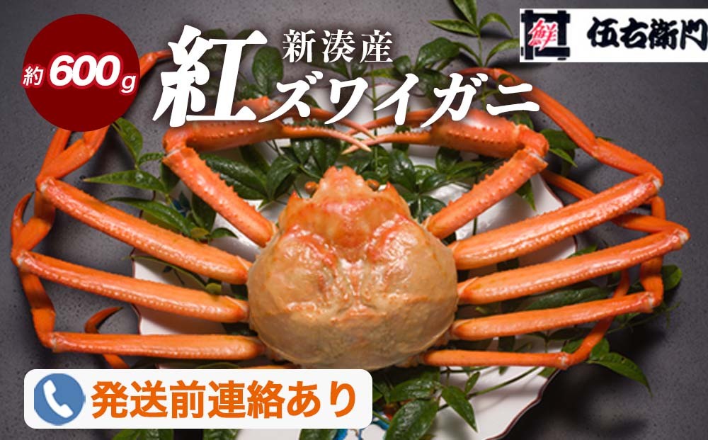 【伍右衛門】新湊産紅ズワイガニ約600g