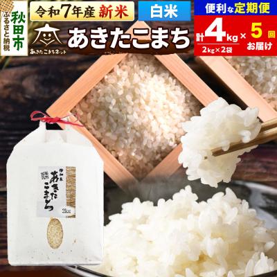 ふるさと納税 秋田市 新米受付《定期便5ヶ月》あきたこまち 清流米 4kg【白米】 |15_akn-bb0405hs