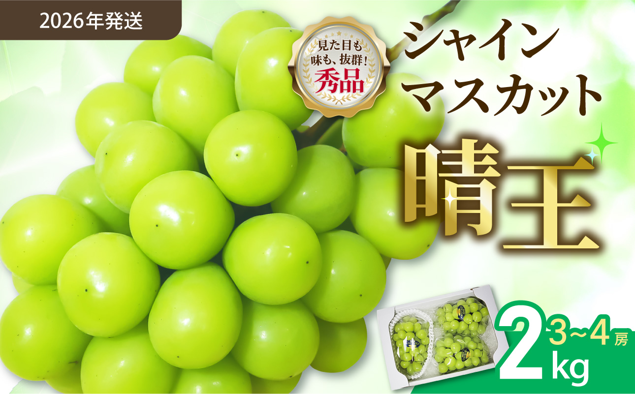 【令和８年発送分】岡山県産 シャインマスカット晴王【秀品】2kg（令和8年9月から10月頃発送）【 岡山県産 シャインマスカット 秀品 晴王 晴れの国おかやま 葡萄 ぶどう】