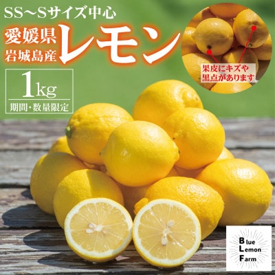 愛媛　ブルーレモンファームの訳ありレモン　1kg　【冷蔵便】期間・数量限定【配送不可地域：離島】【1619476】
