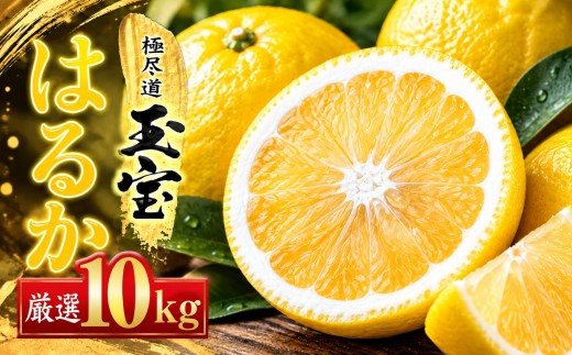 ＜愛媛名産＞玉宝はるか　10kg＜F64-57＞【1511219】 YWTY046