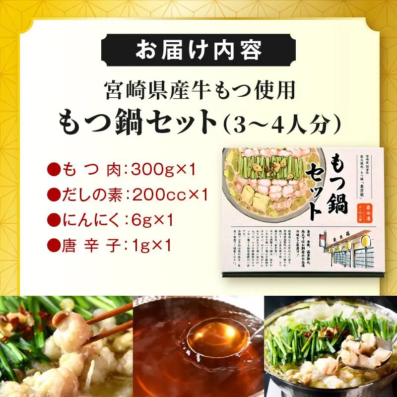 もつ鍋セット（3～4人分）