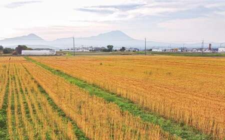 IW04：鳥取県産大山こむぎパン用強力粉（1kg×3袋）