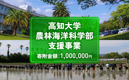【返礼品なし/1,000,000円】高知大学 農林海洋科学部 支援事業(教育・研究・地域貢献を支える寄附) 支援
