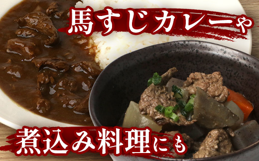 【 定期便 3回 】 熊本県 馬スジ 1kg（ 500g×2 ） × 3回 【 合計 3kg 】 【 馬肉 すじ肉 大容量 本場 熊本県 馬 赤身 煮込み カレー シチュー 冷凍 真空 熊本 肥育 ヘ