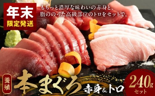 AZ6014n_nm_【年末限定発送】本マグロ (養殖) 赤身 ＆ トロ セ