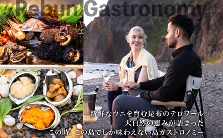 【ふるさと納税限定】北海道 礼文町 旅行Webカタログ 旅行クーポン 90,000円分 ［JTA株式会社］【 旅行 トラベル クーポン カタログギフト 宿泊券 観光 体験 アクティビティ 礼文島 ツア
