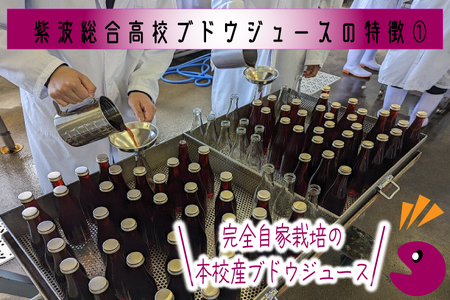 ＼紫波の高校生が作りました！／紫波町産 ぶどうジュース 300ml 2本入り (EC001) 紫波総合高校の生徒たちが育てたぶどうを使ったフレッシュな味わいのぶどうジュース♪