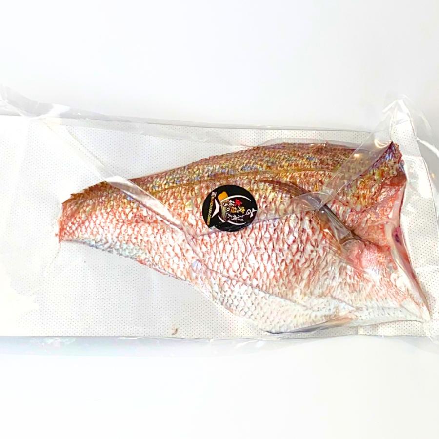 鯛フィーレ1枚（1～1.5kg）