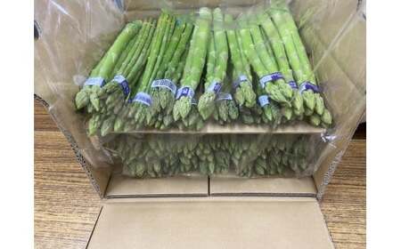 【夏芽】グリーンアスパラガス　サイズ混合約5kg_mk006-004