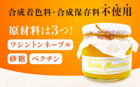 人気のお土産！リピート率ナンバーワン！中下農園の『ネーブルマーマレード』（箱入り・大2個）　みかん 果物 マーマレード ママレード ジャム パン 広島県産 江田島市/江田島市観光協会[XAI006]
