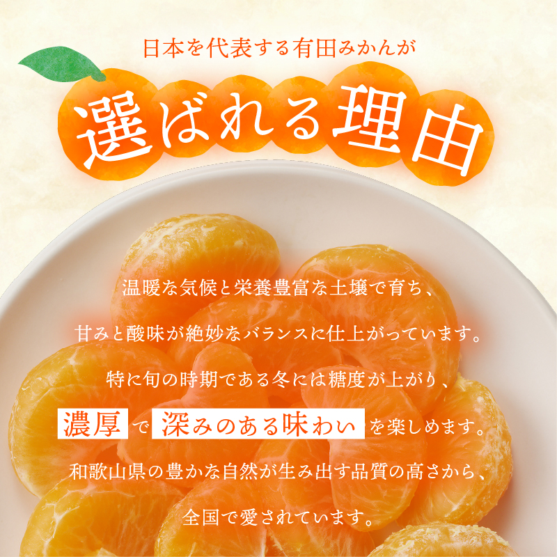 有田みかん「未来への虹」10kg(A2-2)