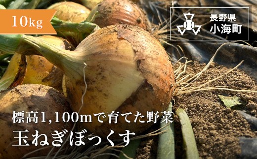 あとくら農園 玉ねぎぼっくす10kg| 野菜 新鮮 旬 玉ねぎ 【 2026年発送 先行予約 】