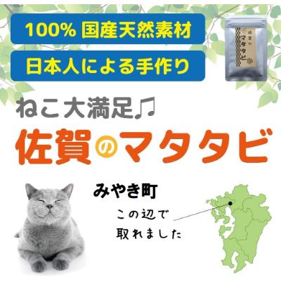 ふるさと納税 みやき町 またたび (純粉末)国産天然100% 【手作り】_SS178 |  | 01