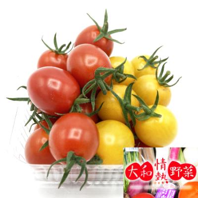 ふるさと納税 広陵町 大和情熱野菜の玉手箱 |  | 02