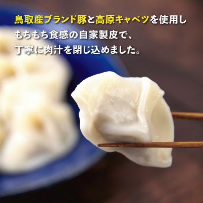 ふるさと納税 鳥取市 台湾水餃子 豚水餃子 60個セット (30個入り×2パック) |  | 01