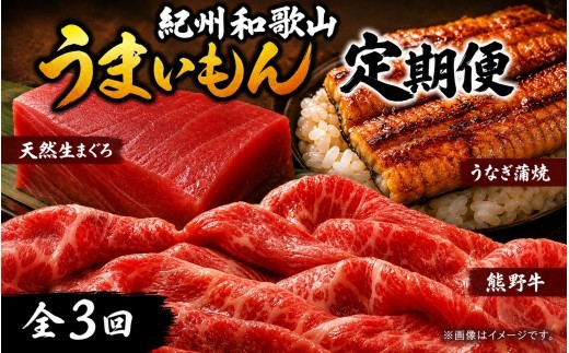 
                  【3回定期便】【毎月お届け】まぐろ・うなぎ・和牛を楽しむ贅沢定期便B / 鮪 マグロ 刺身 鰻 ウナギ 蒲焼 熊野牛 肉 牛肉 和牛 黒毛和牛 赤身 こま切れ 【tkb387】
                