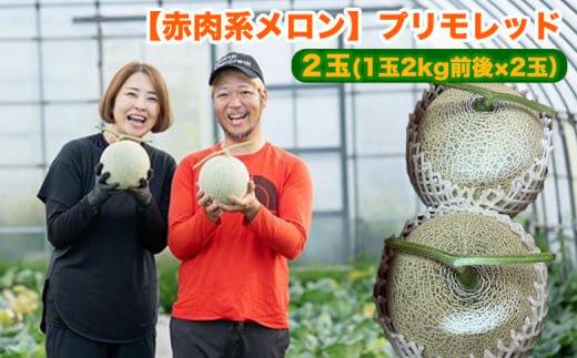 808.【赤肉系メロン】プリモレッド×２玉（1玉2kg前後×2玉）※離島への配送不可 313726_BQ008-P