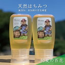 【ふるさと納税】合計600g 天然蜂蜜 国産蜂蜜 非加熱 生はちみつ 岐阜県 美濃市産 初夏 (蜂蜜300g入りピタッとボトル2本セット)B10　 ハニー 調理 料理 味付け 甘味 百花蜜 深い味わい 自然の味 無添加