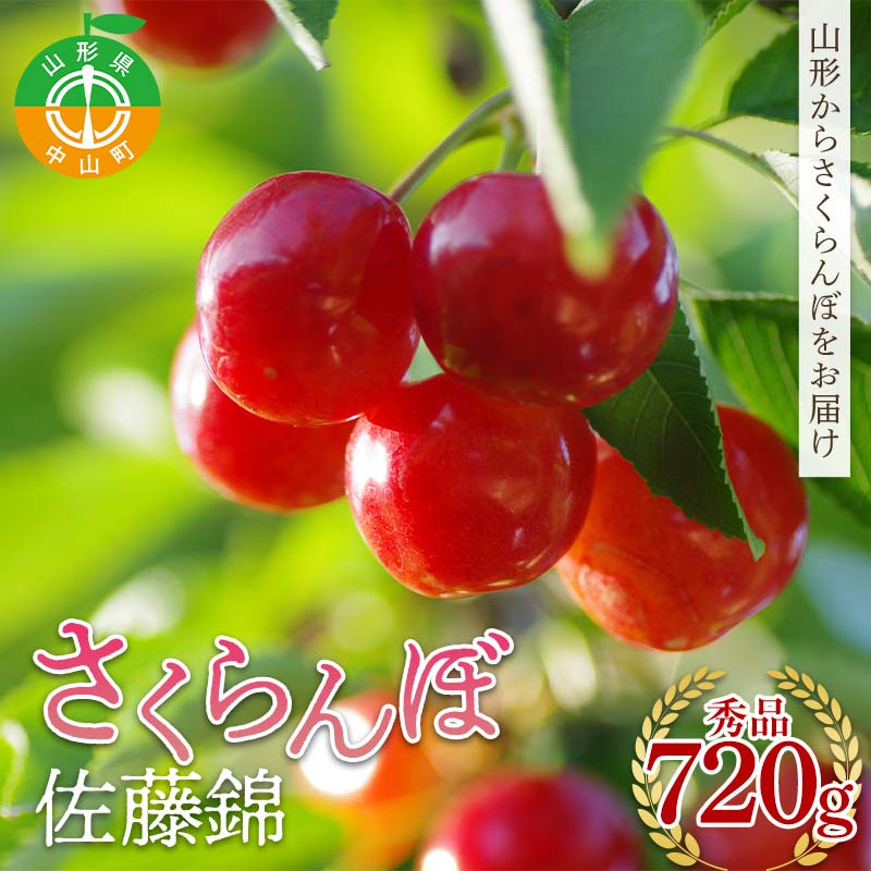 【ふるさと納税】 《先行予約》2026年度発送 山形県産 さくらんぼ 佐藤錦 秀品 720g F4A-0404