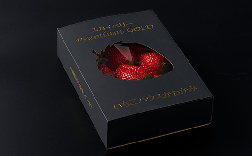 栃木県 いちご 新品種【スカイベリー】9粒～12粒 約450g【配送不可地域：離島】