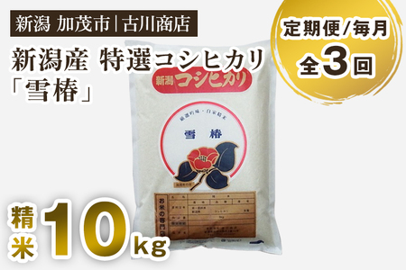 【令和7年産】【定期便3回毎月お届け】新潟県産 特選コシヒカリ「雪椿」精米10kg 白米 加茂市