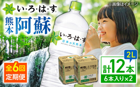 全6回定期便 い・ろ・は・す 天然水 2L×6本×2ケース 飲み物  BHAO015 飲み物