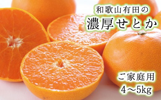 
                  和歌山有田の濃厚せとか　約4～5kg(ご家庭用)　※2027年2月上旬～3月上旬順次発送予定 / みかん 果物 くだもの フルーツ【ard008A】
                