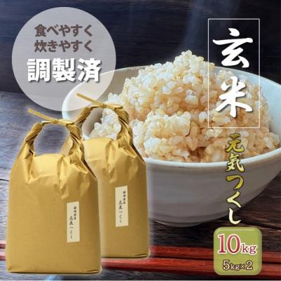 ふるさと納税 小郡市 玄米 10kg 元気つくし 福岡県産 特A評価 お米 5kg×2袋 米[No5354-0965]