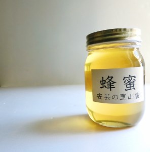 天然蜂蜜 国産 500g【蜂蜜】