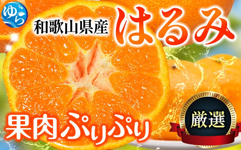 
            【先行予約】＜2月より発送＞ 厳選はるみ7.5kg+250g（傷み補償分）デコポンの姉妹品種 新食感春みかん 【ikd226】
          