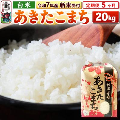 ふるさと納税 男鹿市 新米受付《定期便5ヶ月》【白米】秋田県産 あきたこまち 20kg|23_kml-032005s