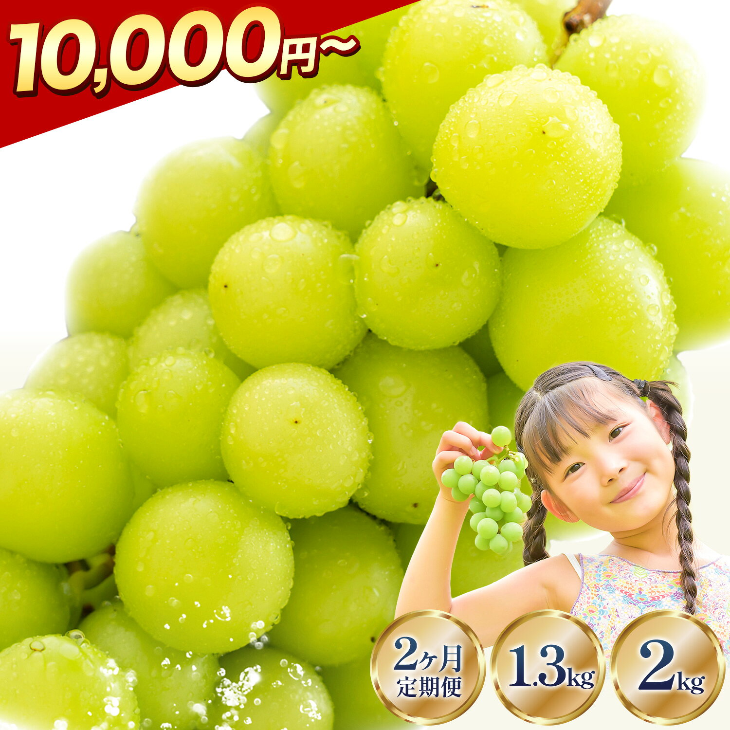 【ふるさと納税】 】 ＼ 9月のオススメ！ ／ 土日着で受け取り安心 シャインマスカット 約650g 約1.3kg 約2kg 2ヶ月定期便 おすそわけにもピッタリ 限定500g 《9月上旬-11月中旬頃出荷》 厳選 ぶどう 葡萄 ブドウ マスカット 果物 フルーツ 岡山県 笠岡市 訳あり 大粒