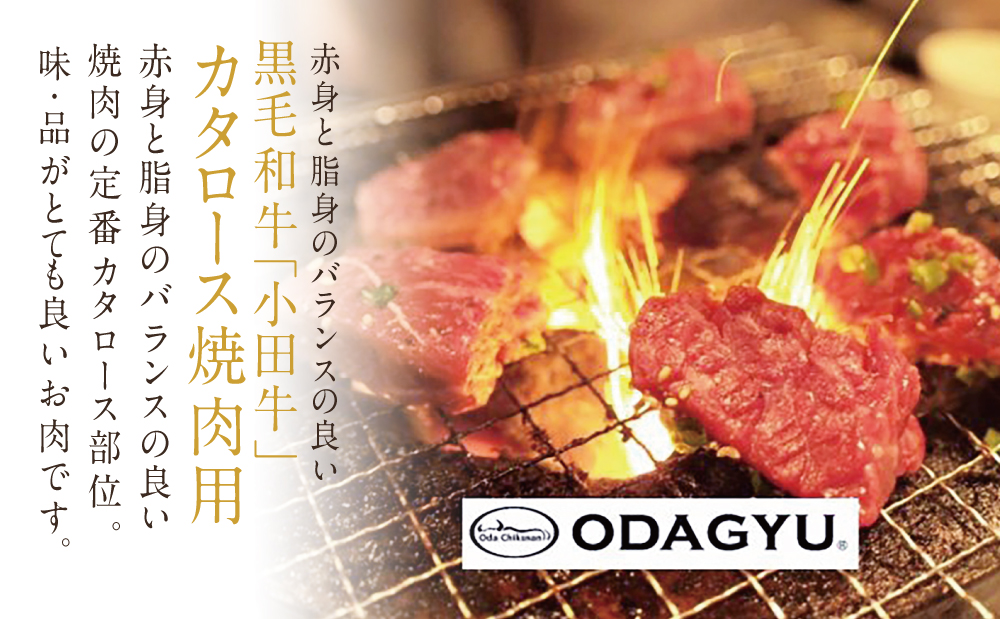 ★年末限定★ プレミアムブランド A4等級鹿児島県産黒毛和牛「小田牛」 カタロースすき焼用＆焼肉用 計800g すきやき 焼き肉 牛肉 冷凍 国産牛 小田畜産 鹿児島 南さつま市