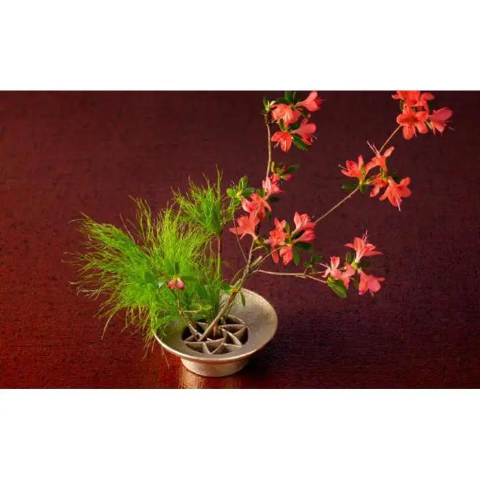 針のない剣山 / Flower garden