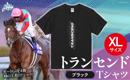 【トランセンド】Ｔシャツ 選べる４サイズ 【XL】  【ふるさと納税 人気 おすすめ ランキング 馬 競馬 競走馬 引退馬 トランセンド Tシャツ シャツ 服 飾り物 生活 日用品 日高 北海道 平取町 びらとり 送料無料】BRTV150-4