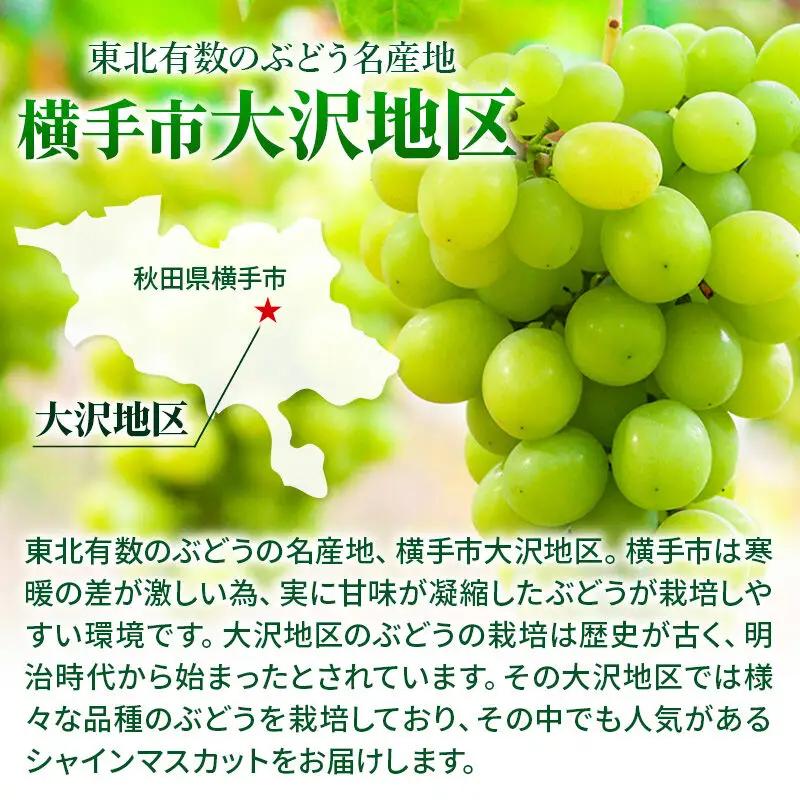 横手市大沢地区産のぶどう（シャインマスカット）約2kg 濃甘な完熟葡萄