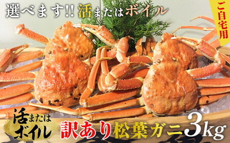 【活】訳あり　松葉ガニおまかせ3kg（5～8枚） ※2024年11月上旬～2025年3月下旬頃に順次発送予定 ※着日指定不可