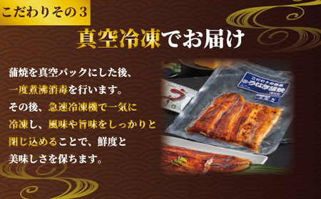 国産うなぎ蒲焼き タレ・山椒付き 4枚 1枚約110g 定期便3回 鰻 鰻 鰻 鰻 鰻 石毛川魚店