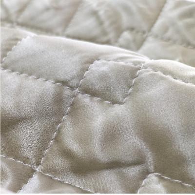 ふるさと納税 和歌山市 【Sサイズ 35×50cm】シルク100%サテン枕パッド　ベージュ2枚組　SSM-3S-2P　BE |  | 01