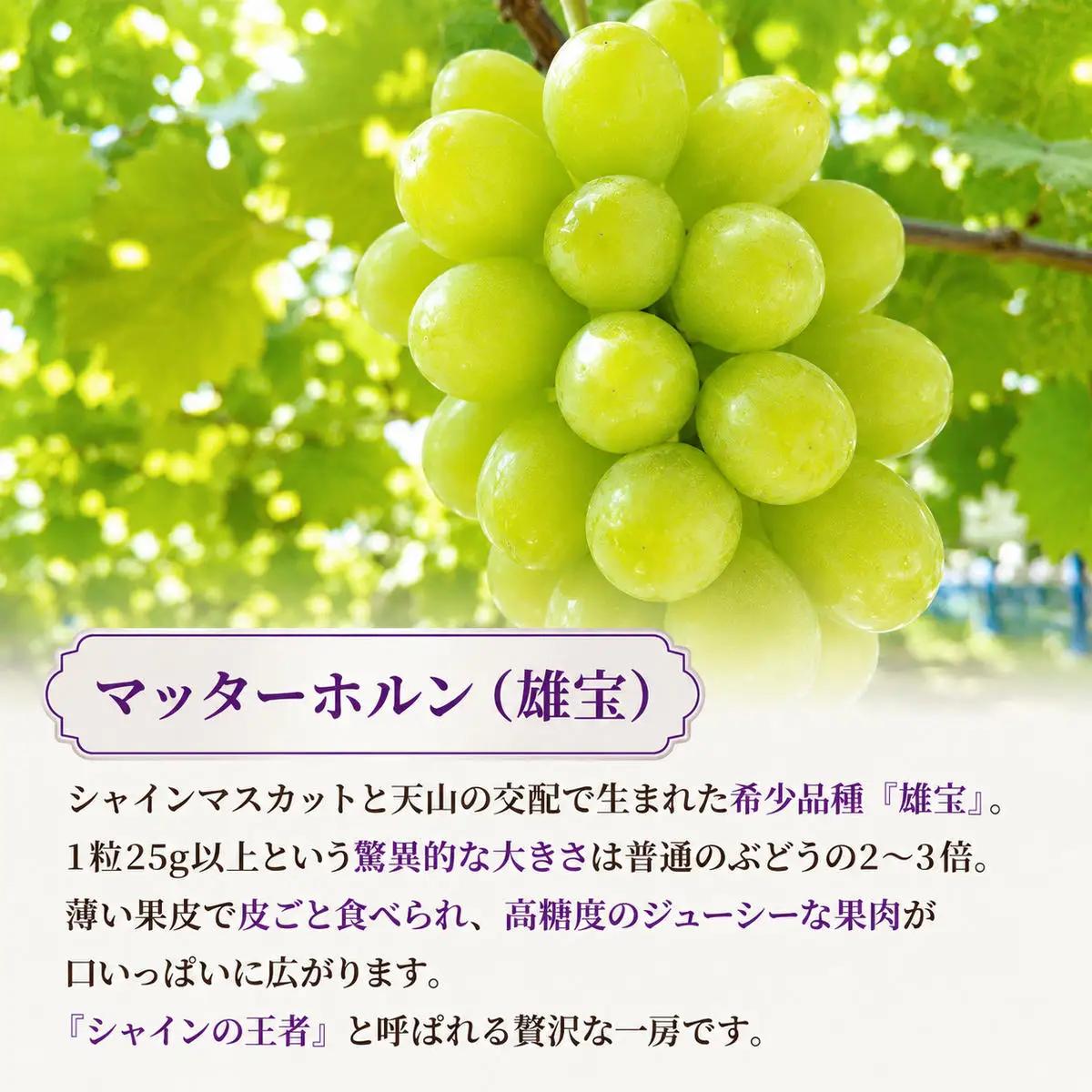 ぶどうセット 3種食べ比べ シャインマスカットマッターホルン ぶどうセット【6房3.5kg】【先行予約】