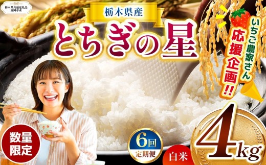 【定期6回】 訳あり 定期便 数量 限定 令和8年度産 とちぎの星 約 4kg | とちぎの星 白米 ごはん おいしい 品種 お米 米 おにぎり ふるさと納税 那珂川町 栃木県 【栃木県共通返礼品】