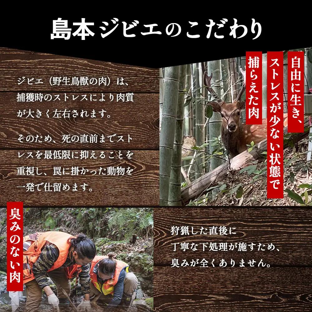 島本ジビエ「鹿肉」約600g ／ ジビエ 鹿 シカ肉 スライス 新鮮 手軽 冷凍 高たんぱく タンパク質 低カロリー 赤身 鉄分 ヘルシー 旨味 歯ごたえ 野性味 狩猟肉 RISTORANTE Co.