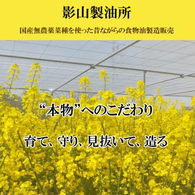 ふるさと納税 出雲市 「出雲の菜種油」中2本セット【1_6-009】 |  | 01