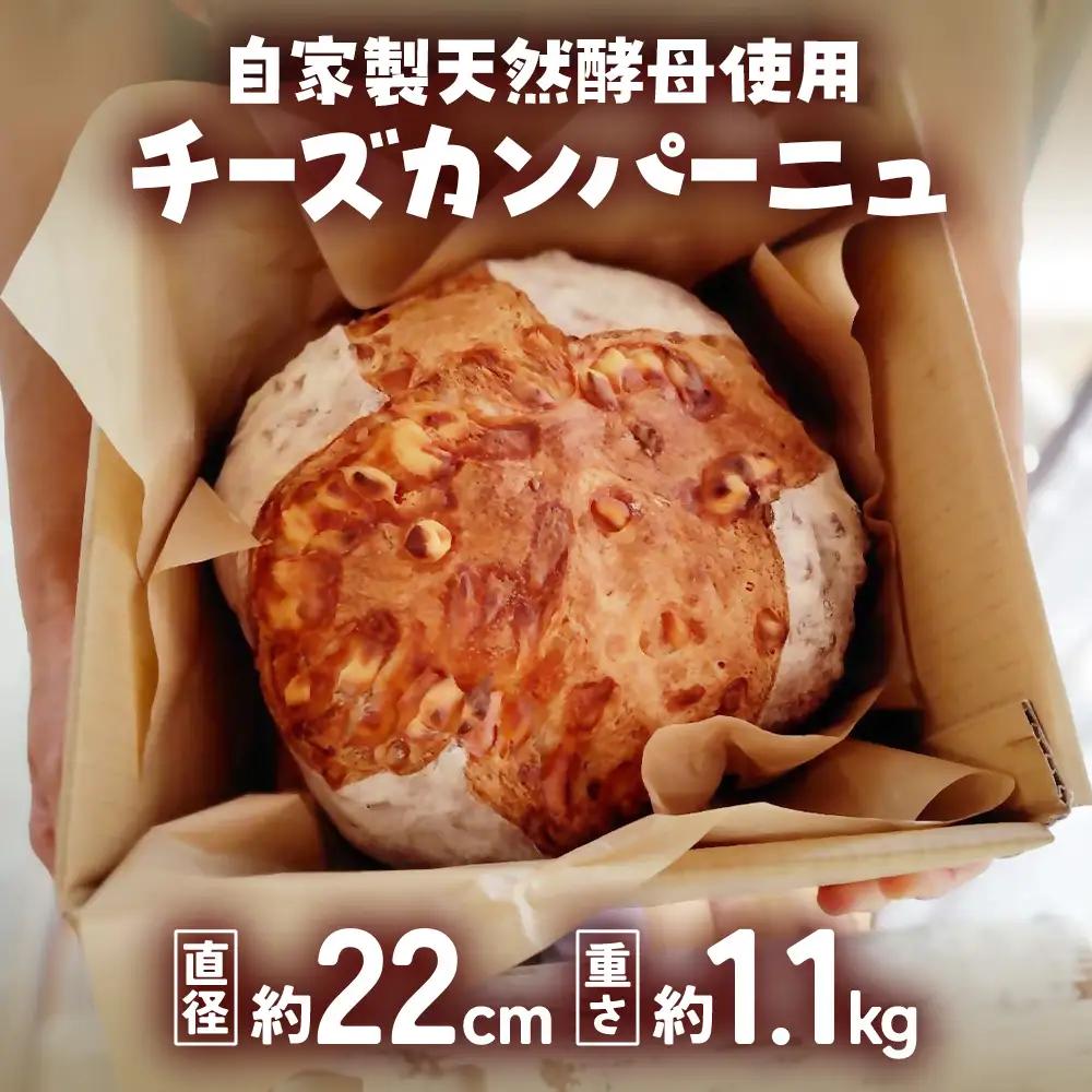 自家製天然酵母を使ったチーズカンパーニュ  | パンパンパンパン