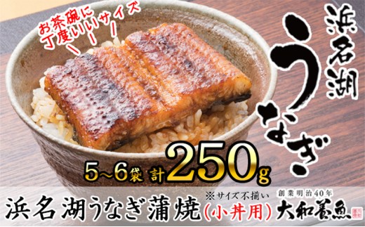 
                  浜名湖うなぎ蒲焼（小丼用）計250g 【訳あり】サイズ不揃い5～6袋 加工品 養殖 老舗 手焼き 百貨店 ギフト カット 湯せん レンジ 美味しい 冷凍 食べきり 便利 簡単 調理 土用の丑の日 静岡県 浜松市
                