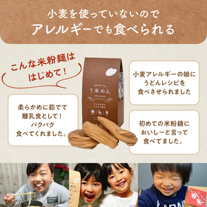 たっぷり入った グルテンフリー 米粉で作った麺「う米めん」玄米タイプ100食入り F21T-247