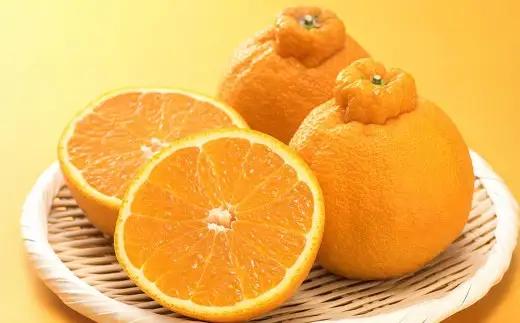＜ R8年熊本地震復興支援 ＞訳あり不知火 2kg 不知火 しらぬい デコみかん みかん ミカン 果物 くだもの フルーツ 柑橘類 柑橘系 柑橘 果実 国産 熊本県産 【 2027年1月下旬～4月下旬発送予定 】