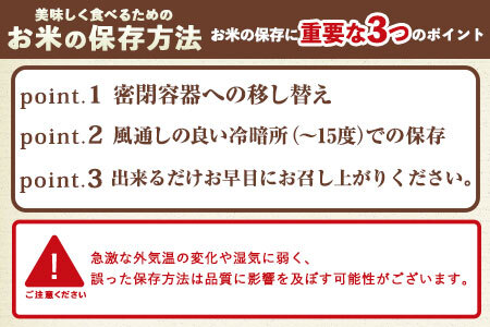 米 【3ヶ月定期便】令和5年産 みなみにしき 玄米 5kg 熊本県 荒尾市産 米 玄米 定期 つゆくさ農園 《お申込み月の翌月から出荷開始》