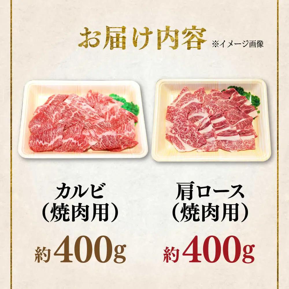 くまもと 黒毛和牛 和王 焼肉 セット（カルビ・肩ロース） 計約800g（各1P）カルビ ロース [AYBR042]